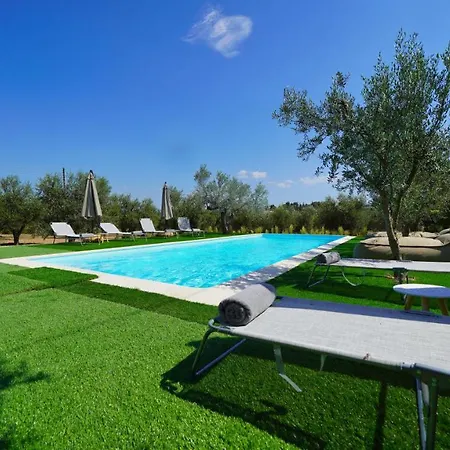 Olive Grove Rock