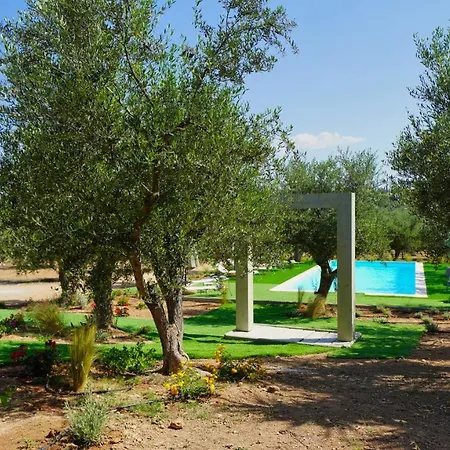 Olive Grove Rock * Aghios Emilianos (Peloponnese)