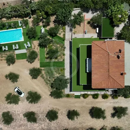 Olive Grove Rock Aghios Emilianos (Peloponnese)